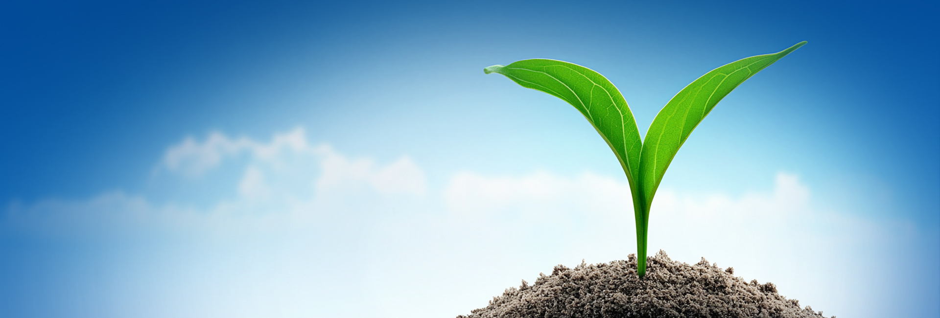 尊龙凯时人生就是搏 -首页官网